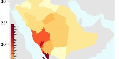 Arabia Saudită densitatea populației hartă